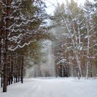 Чудеса природы . :: Мила Бовкун