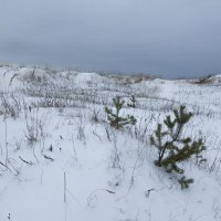 Северодвинск, берег Белого моря в разные времена года :: Владимир Шибинский