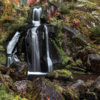 Водопад Триберг (Triberger Waterfall) :: Bo Nik