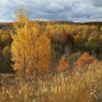 Осень в долине Исьмы :: Сергей Курников