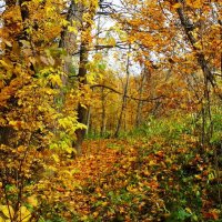 Осенний пейзаж :: Лидия Бусурина