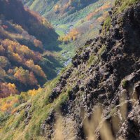 Заповедник :: Анастасия Сивакова