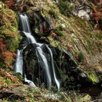 Водопад Триберг (Triberger Waterfall) :: Bo Nik