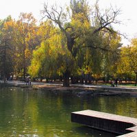 Осень в  парке :: Валентин Семчишин