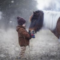 Выйду в поле с конем.. :: Ольга Князева