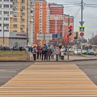 Приход Пешеходов через 17 секунд! :: Валерий Иванович
