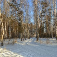 Первый день зимы . :: Мила Бовкун