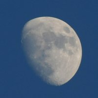 Луна растущая. :: Валерьян Запорожченко