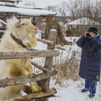 Ты сними, сними меня фотограф :: Галина Новинская