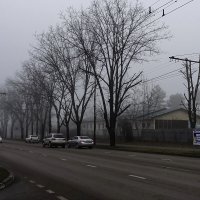 Туман в городе :: ~ Николай ~ 