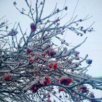 Зима :: Александр Ильин