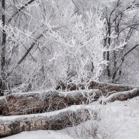 Зима :: Евгений Герасименко
