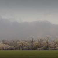 Ранняя зима на Северном Кавказе :: Наталия Сарана