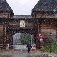 На пол часа пришла зима. :: Анатолий. Chesnavik.