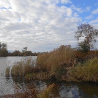 В окрестностях Калининграда :: Маргарита Батырева