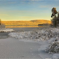 Солнечный денёк. :: Владимир Чикота 