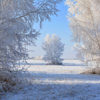 Зимушка :: Геннадий Супрун