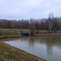 УзнаЮ московскую зиму :: Андрей Лукьянов