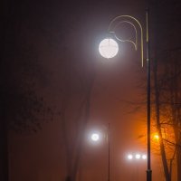 Прогулка в тумане :: Сергей Корнев