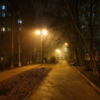 Осенний туман :: Александр Гапоненко