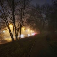 Осенний туман :: Александр Гапоненко