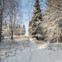 Зимний денёк. :: Валентина Жукова