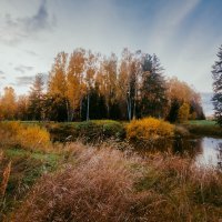 Осенний пейзаж. :: Евгений Королёв