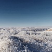 Белое безмолвие... :: Андрей Заломленков