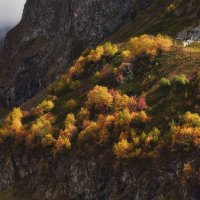 Просто это осень в горах... :: Александр К.