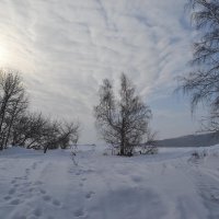 Зимний денёк :: Андрей Хлопонин
