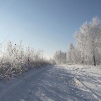 Дорогой зимнею, дорогой дальнею... :: Андрей Заломленков