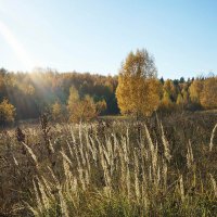 Осень в долине Протвы :: Сергей Курников