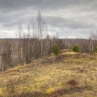 Хмурый осенний день :: Константин 