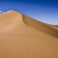 дюны пустыни Гоби :: Георгий А