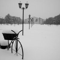 Школьный парк :: Радмир Арсеньев