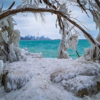 Winter in Toronto :: Andy Zav