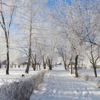 По дорожкам декабря.. :: Андрей Заломленков