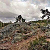 Природа Швеции :: wea *