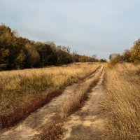 Верхняя дорога на Лысой горе :: Олег 