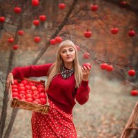 Яблочный рай :: Светлана Донская