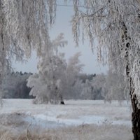 На Алтае :: Валентина Богатко 