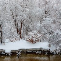 Узоры Зимы. :: Николай Кондаков