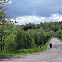 Где-то во Львовской области :: Татьяна Ларионова