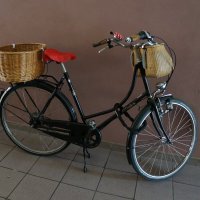 Про велосипед.... :: Алёна Савина