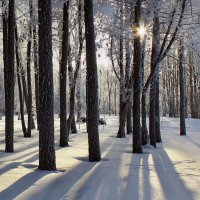 22 декабря - День зимнего солнцестояния! :: Ната Волга