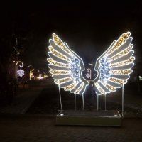 Крылья Ангела в темноте :: Татьяна Смоляниченко