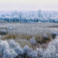 Утром в декабре.. :: Юрий Стародубцев