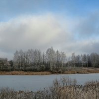 Смоленщина в декабре. :: Милешкин Владимир Алексеевич 