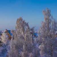 декабрь 2018г. :: Петр Беляков