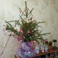 Новогодняя елочка у меня дома. :: Светлана Калмыкова